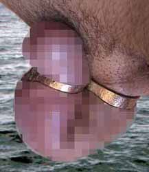 spex2.jpg (14047 �o�C�g)